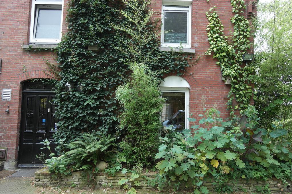Art, Bed & Breakfast Velden Exterior photo